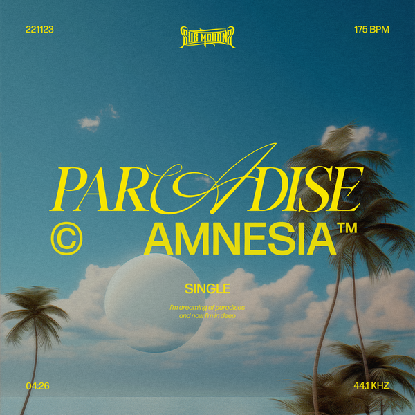Amnesia - Paradise